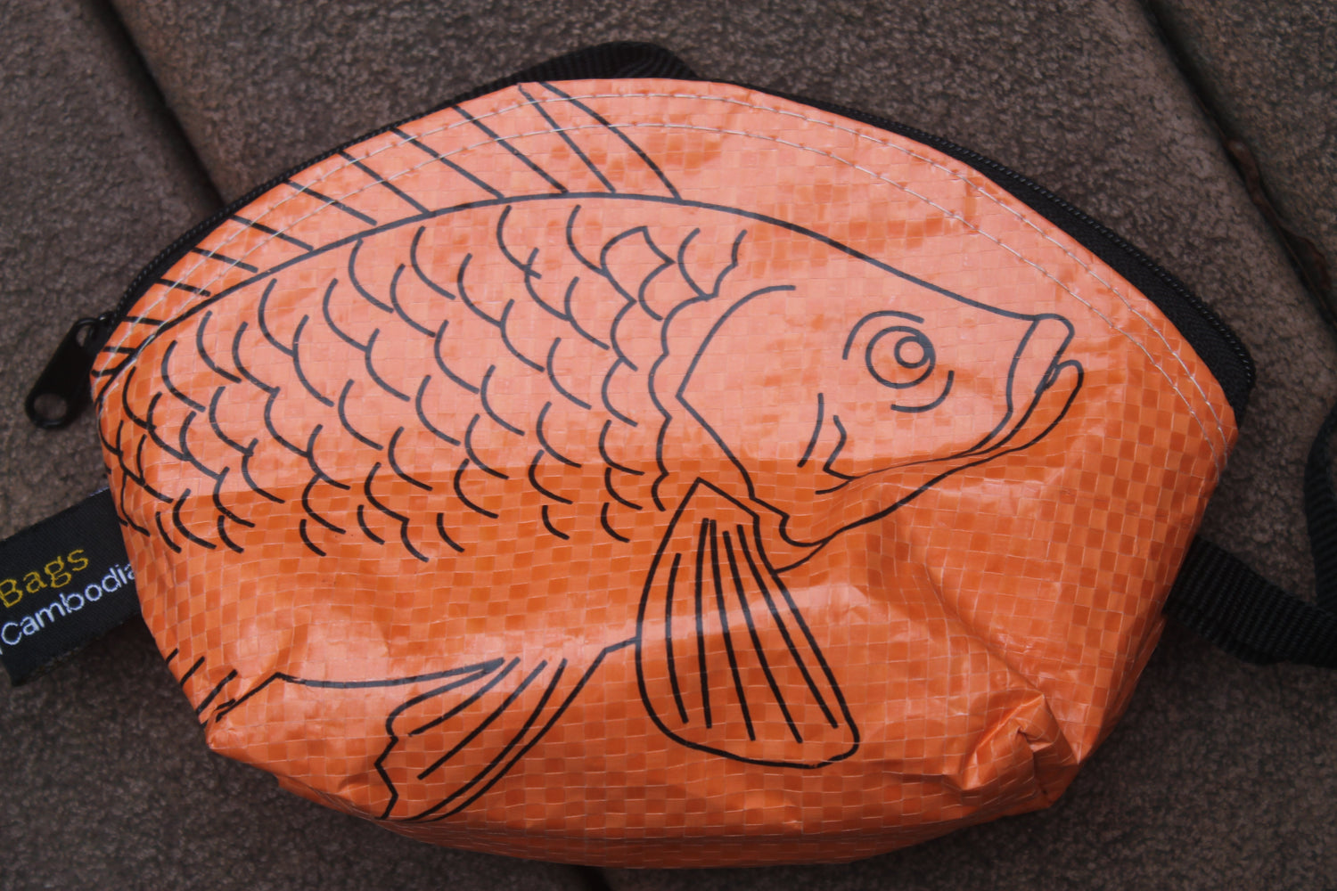 Fish