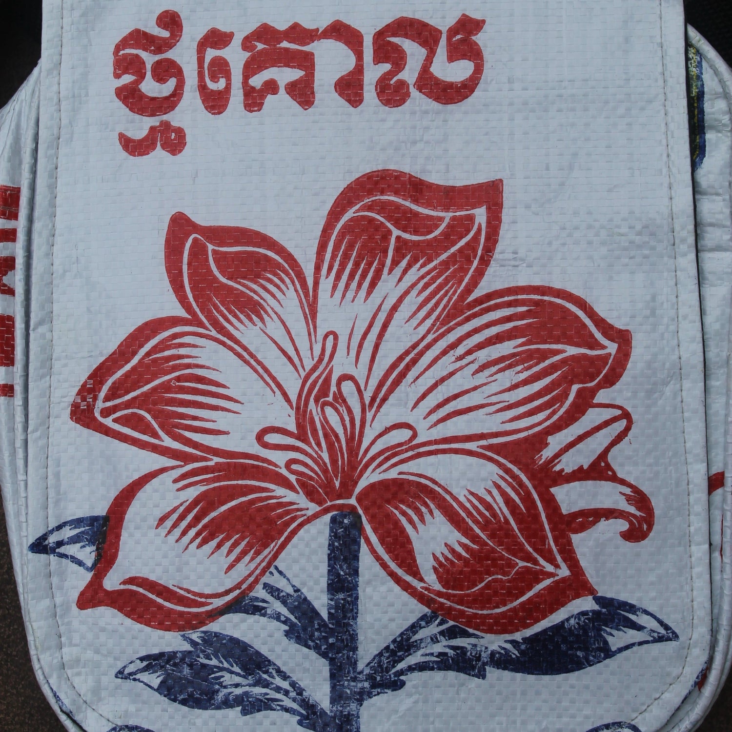Lotus Flower
