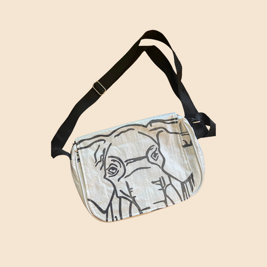 Medium Messenger Bag